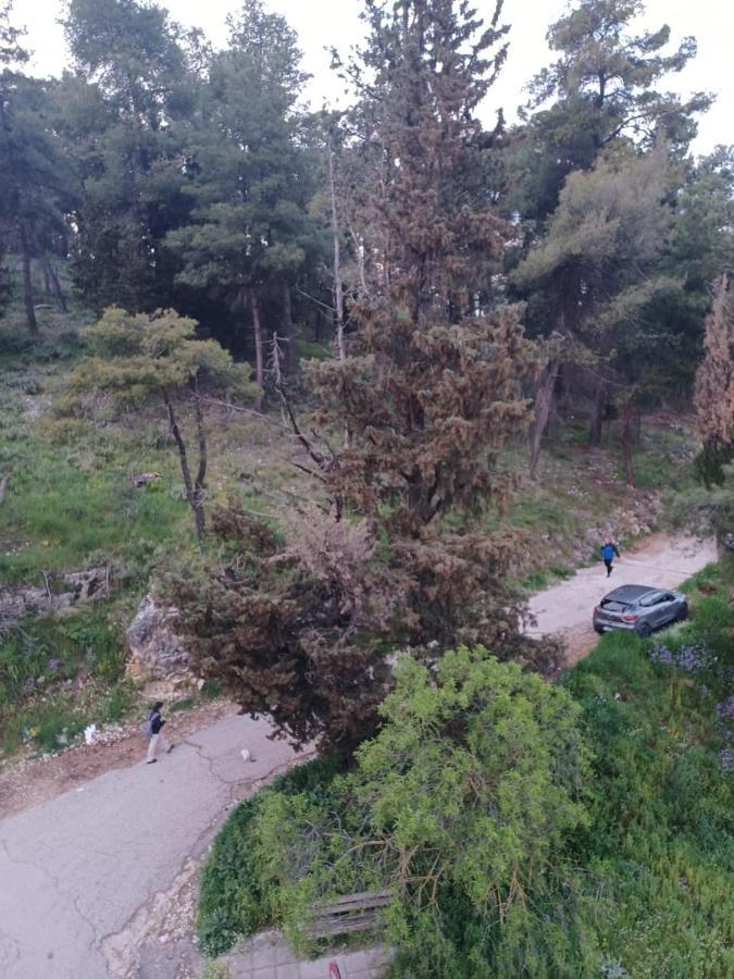 Апартаменти Ένα Μέρος Για Ήσυχες Διακοπές Яніна Екстер'єр фото