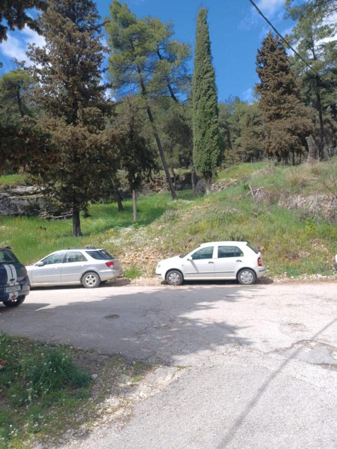 Апартаменти Ένα Μέρος Για Ήσυχες Διακοπές Яніна Екстер'єр фото